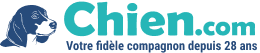 Chien.com